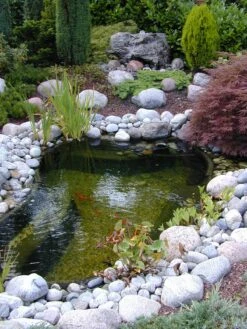 Ubbink Xtra 6000Fi 5 Ubbink Xtra 6000Fi -OUTSUNNY Verkäufe 1443655000 prod 003