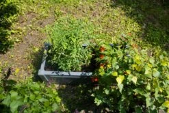 Pflanzkasten Rechteckig, Grau -OUTSUNNY Verkäufe 1825836002 prod 005