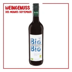 BioBio Montepulciano D'Abruzzo DOC 12,0 % Vol 0,75 Liter