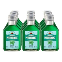 Nordbrand Nordhausen Pfefferminzlikör 18,0 % Vol 100 Ml, 12er Pack