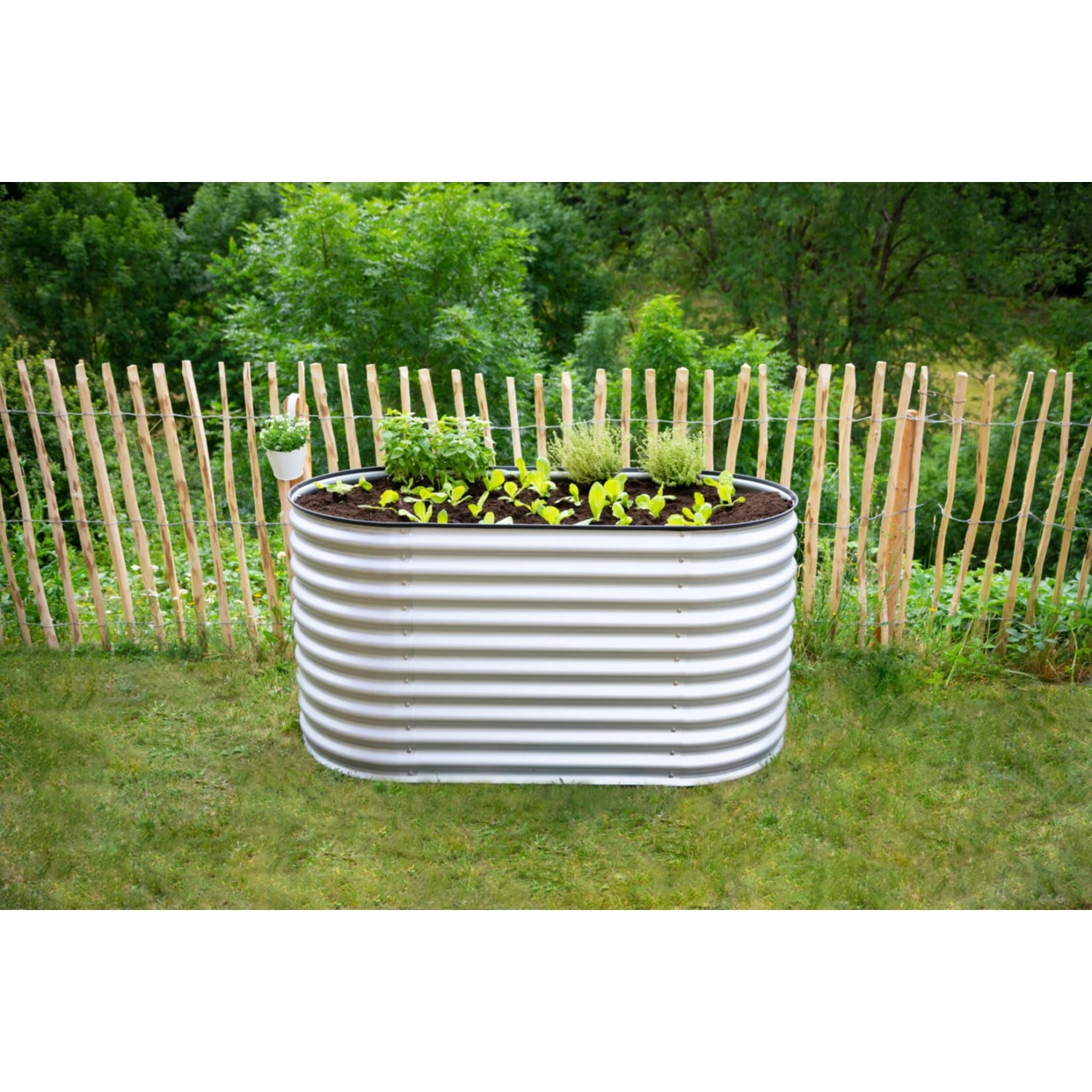Westmann Metall Hochbeet Gartenbeet Grow Faster Silber 160x80x82 Cm 1 Westmann Metall Hochbeet Gartenbeet Grow Faster Silber 160x80x82 Cm