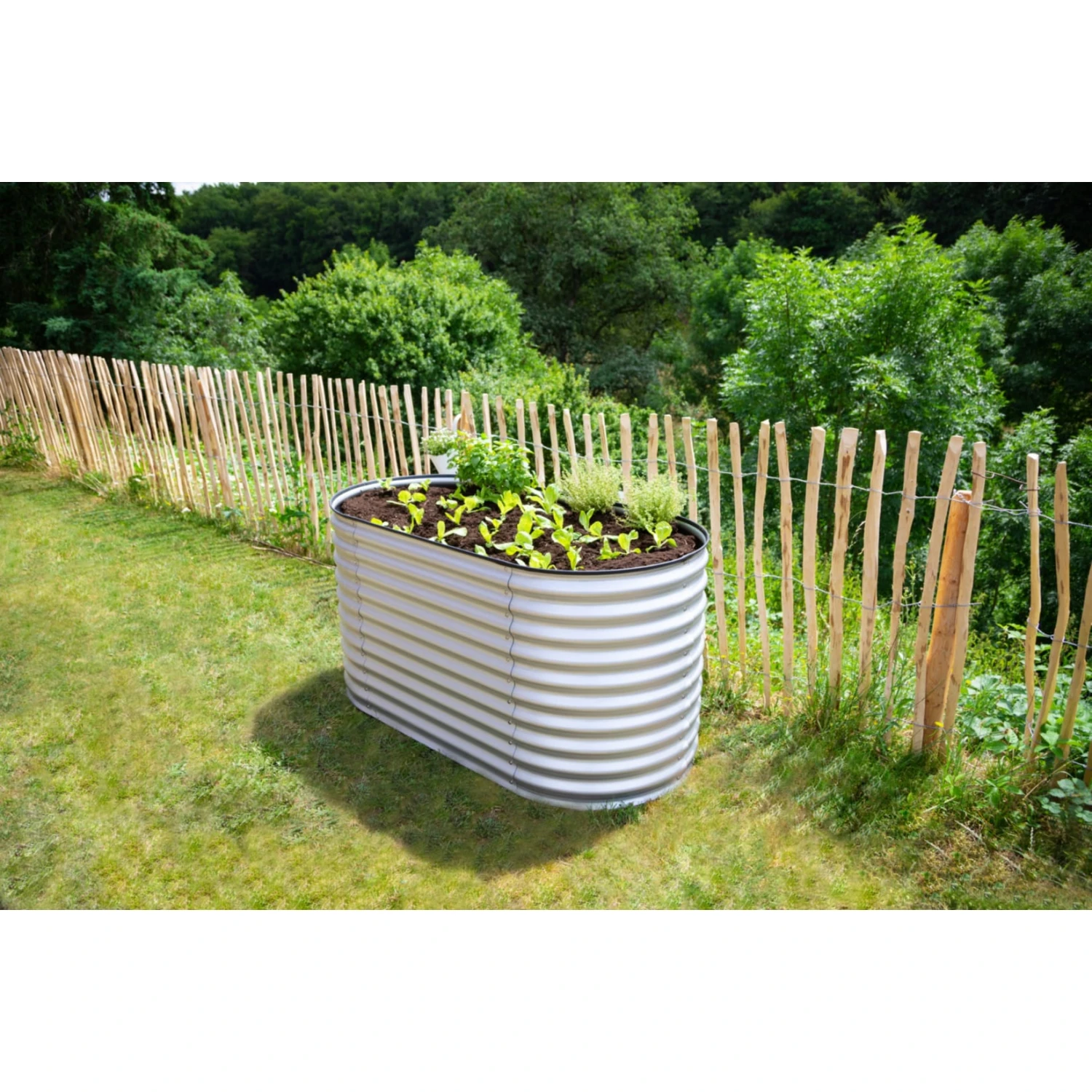 Westmann Metall Hochbeet Gartenbeet Grow Faster Silber 160x80x82 Cm 2 Westmann Metall Hochbeet Gartenbeet Grow Faster Silber 160x80x82 Cm – Bild 2
