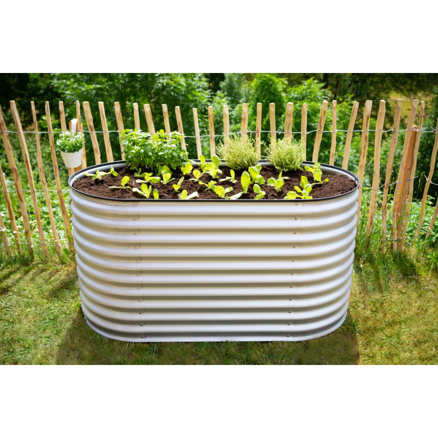 Westmann Metall Hochbeet Gartenbeet Grow Faster Silber 160x80x82 Cm 6 Westmann Metall Hochbeet Gartenbeet Grow Faster Silber 160x80x82 Cm – Bild 6