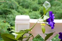 Spalier 100 Cm Mit Erdspieß, Weiß -OUTSUNNY Verkäufe 2199010000 prod 003