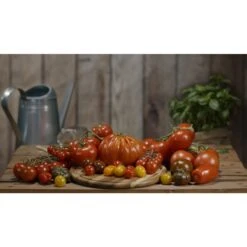 Pflanzhilfe Tomatenhut 2er Set Mit Schutzfolie -OUTSUNNY Verkäufe 2199014000 prod 003