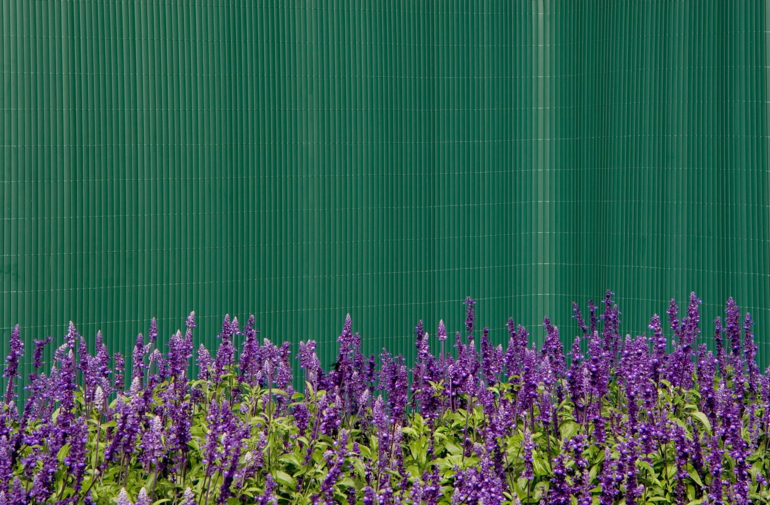 NOOR Sichtschutzmatte PVC | Versch. Größen Und Farben 2 NOOR Sichtschutzmatte PVC | Versch. Größen Und Farben – Bild 2