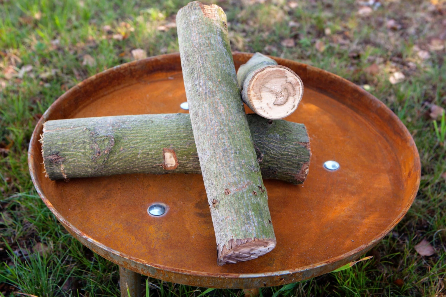 Nonjoo. Feuerstelle Agni Versch. Farben 3 Nonjoo. Feuerstelle Agni Versch. Farben – Bild 3