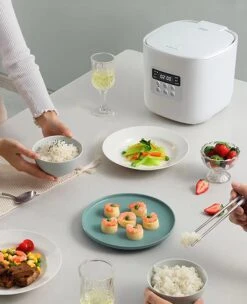 Premier Home® Low Carb Reiskocher -OUTSUNNY Verkäufe 2365444000 prod 003