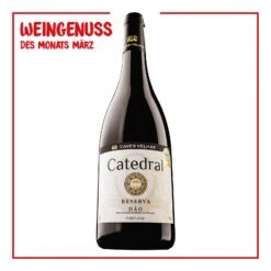 Catredral Reserva Dao DOC 13,0 % Vol 0,75 Liter
