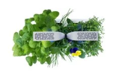 VERITABLE SMART Indoor Garten Weiß Inkl 4 Packs 7 VERITABLE SMART Indoor Garten Weiß Inkl 4 Packs -OUTSUNNY Verkäufe 8600267600 12259 prod 004