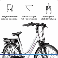Zündapp Z802 E Bike Trekkingrad Damen Ab 155 Cm Mit Nabenmotor Pedelec Trekking Fahrrad Mit 21 Gang Und Beleuchtung StVZO -OUTSUNNY Verkäufe 8600290900 24082 prod 004