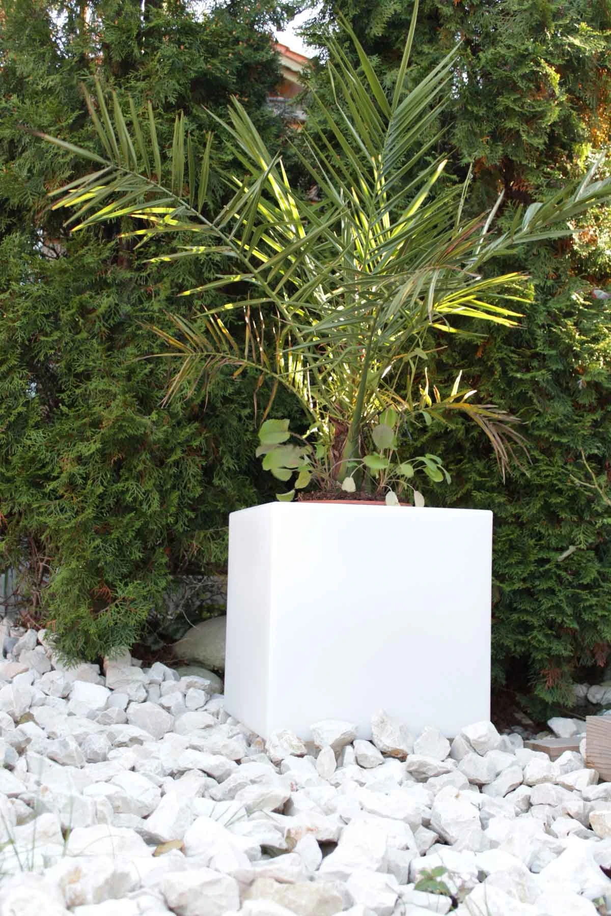 Pflanzkübel GlowTub Quadratic 38x38x38cm Beleuchtet 10620 2 Pflanzkübel GlowTub Quadratic 38x38x38cm Beleuchtet 10620 – Bild 2