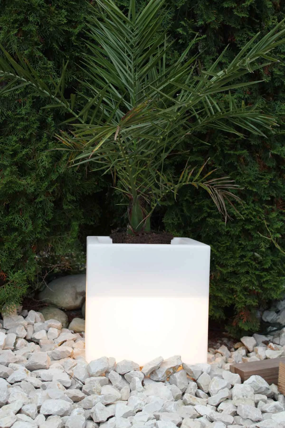 Pflanzkübel GlowTub Quadratic 38x38x38cm Beleuchtet 10620 3 Pflanzkübel GlowTub Quadratic 38x38x38cm Beleuchtet 10620 – Bild 3