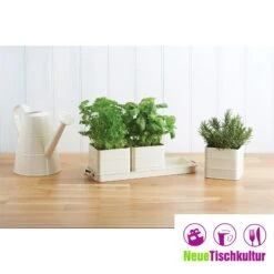 Neuetischkultur Kräutertöpfe Mit Schale Living Nostalgia 7 Neuetischkultur Kräutertöpfe Mit Schale Living Nostalgia -OUTSUNNY Verkäufe 8600330400 50005026 prod 004