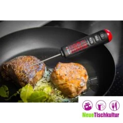 Neuetischkultur Digitales Bratenthermometer Taylor Pro -OUTSUNNY Verkäufe 8600330400 50005641 prod 005