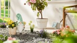 Pflanzentopf Zwerg Mit Blume Bunt -OUTSUNNY Verkäufe 8600342900 9420933 prod 003