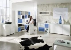 Atlanta - Lowboard Mit 2 Türen, 1 Ablage Und 1 Schublade, Push-Open, Glaskomponenten, Weiss Hochglanz 10 Atlanta - Lowboard Mit 2 Türen, 1 Ablage Und 1 Schublade, Push-Open, Glaskomponenten, Weiss Hochglanz -OUTSUNNY Verkäufe 8600352000 228824WE prod 005