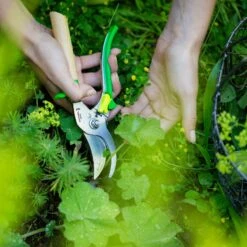 OPINEL Gartenschere Comfort - Strauchschere Rosen Blumen Schere Obst Ast Schere -OUTSUNNY Verkäufe 8600354700 A2291 3742 prod 005