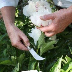 OPINEL Gärtnerhippe Gärtner Messer Blumen Garten Hippe Klappmesser Taschenmesser Variante: Variante 1 11 OPINEL Gärtnerhippe Gärtner Messer Blumen Garten Hippe Klappmesser Taschenmesser Variante: Variante 1 -OUTSUNNY Verkäufe 8600354700 A2295 3761 prod 006