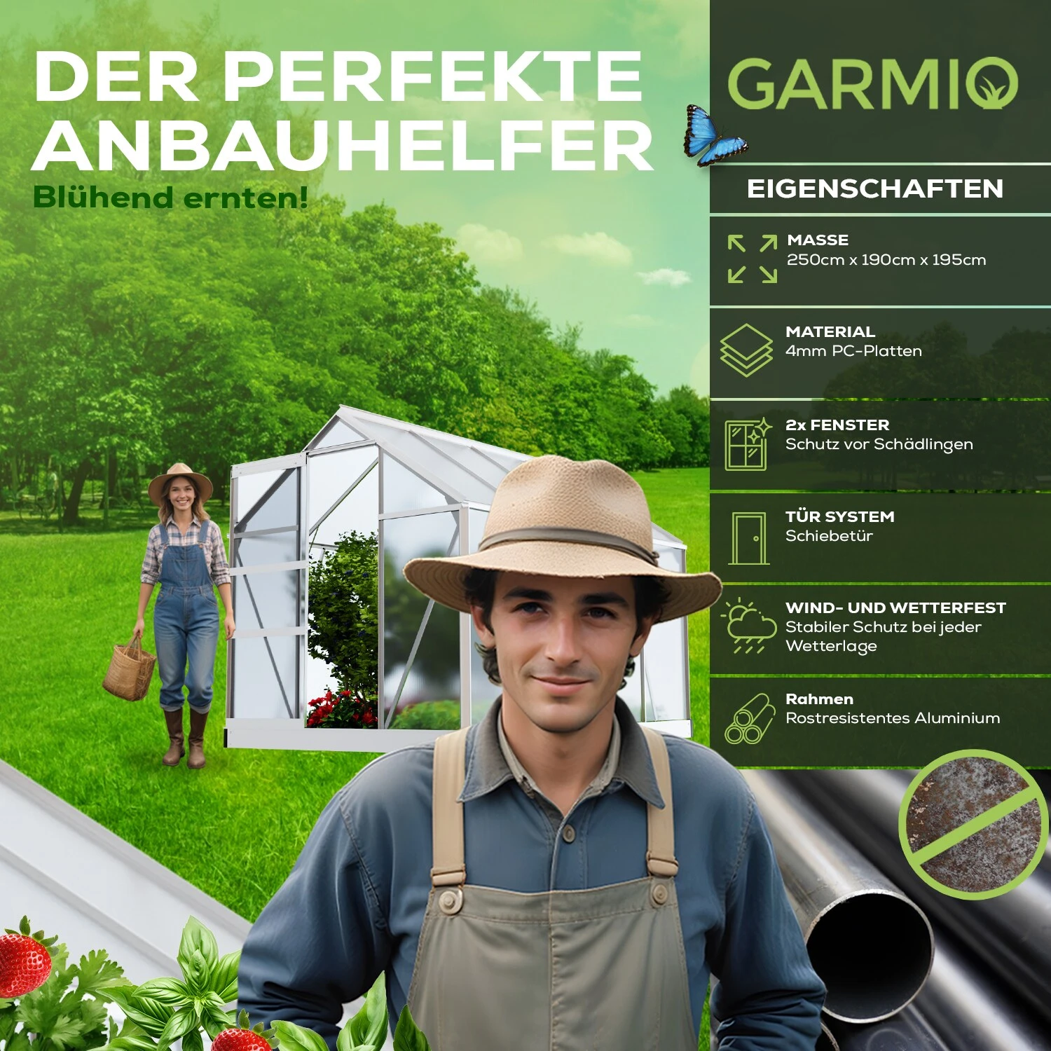 TroniTechnik Gewächshaus GH05 Aluminium 4mm Inkl. Fundament Mit Dachfenster, Schiebetür, UV-Schutz 2 TroniTechnik Gewächshaus GH05 Aluminium 4mm Inkl. Fundament Mit Dachfenster, Schiebetür, UV-Schutz – Bild 2