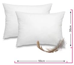 Wometo 2er Set Federkissen Home, In über 10 Größen - Kissenfüllung Mit Bezug Aus Baumwolle Und Füllung Aus 100% Federn