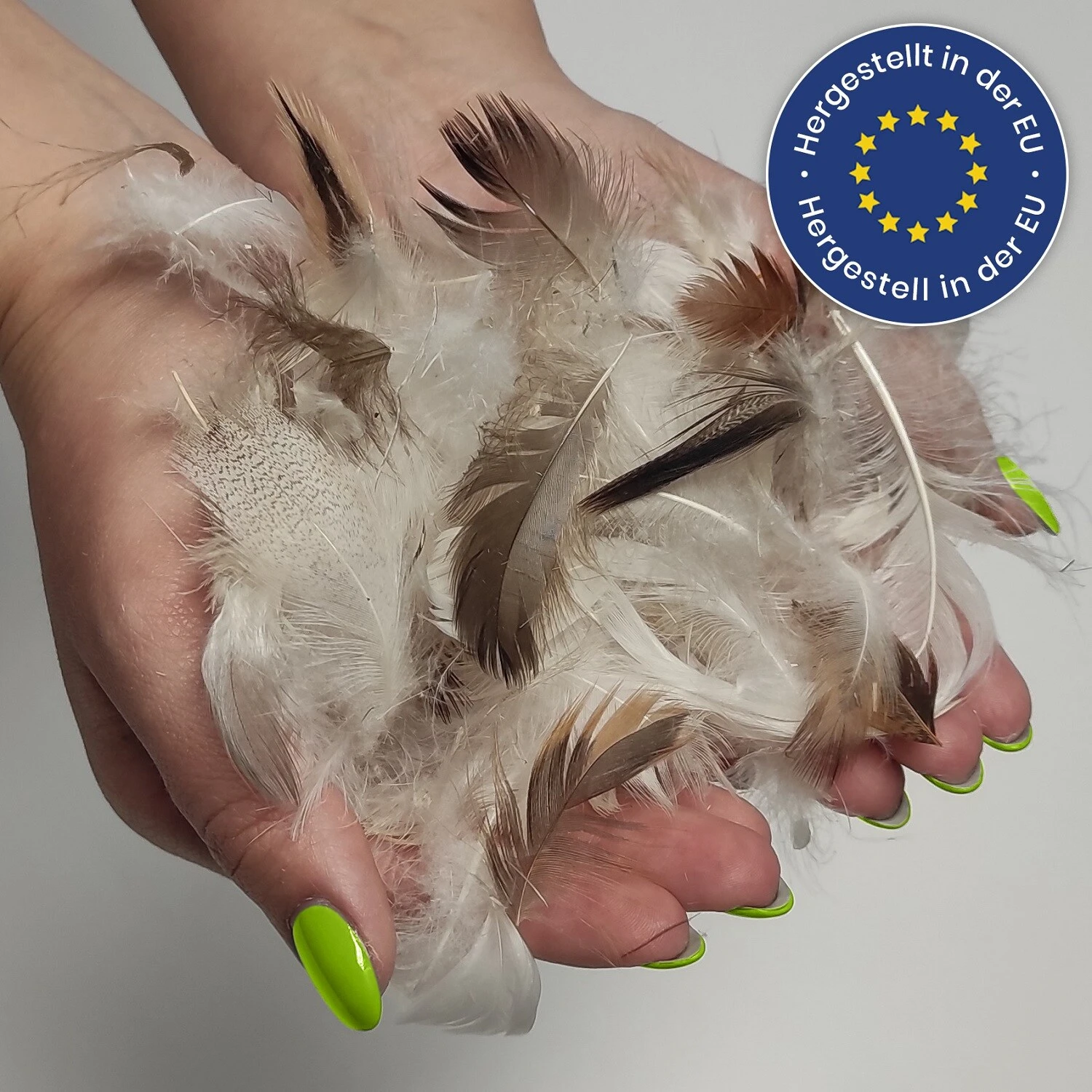 Wometo 4er Set Federkissen Home, 40x60 Cm - Kissenfüllung Mit Bezug Aus Baumwolle Und Füllung Aus 100% Federn 4 Wometo 4er Set Federkissen Home, 40x60 Cm - Kissenfüllung Mit Bezug Aus Baumwolle Und Füllung Aus 100% Federn – Bild 4