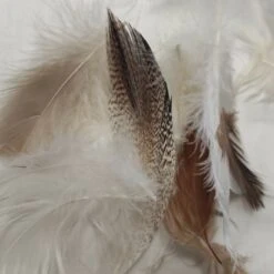 Wometo 4er Set Federkissen Home, 40x60 Cm - Kissenfüllung Mit Bezug Aus Baumwolle Und Füllung Aus 100% Federn 10 Wometo 4er Set Federkissen Home, 40x60 Cm - Kissenfüllung Mit Bezug Aus Baumwolle Und Füllung Aus 100% Federn -OUTSUNNY Verkäufe 8600365200 2377 prod 005